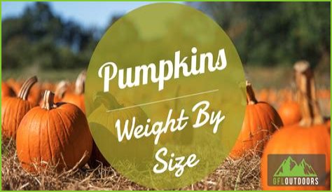 How Much Does Pumpkin Make Per Episode On Mama June?